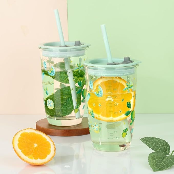 Portable Straw Glass Cup