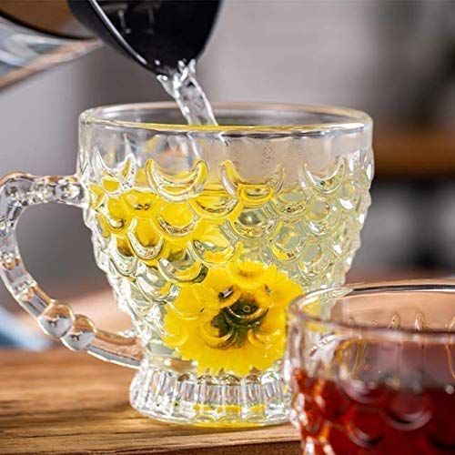 Set of 6 Premium Latte Glasses with Handle