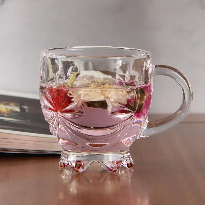 Set of 6 Premium Latte Glasses with Handle
